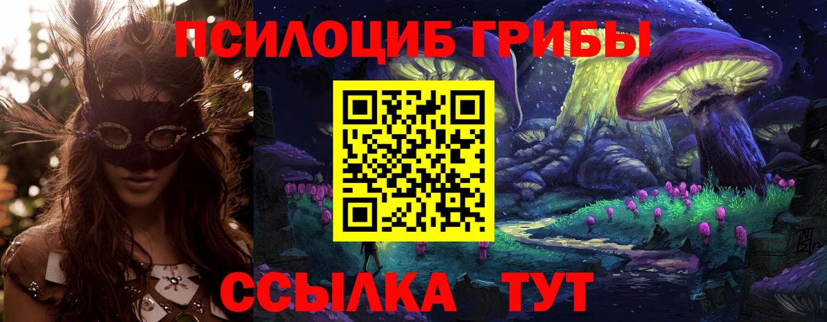 Псилоцибиновые грибы мицелий Печора